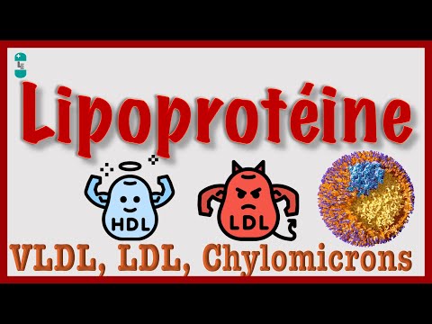 Lipoprotéines - VLDL, HDL, LDL, Chylomicrons, Cholestérol