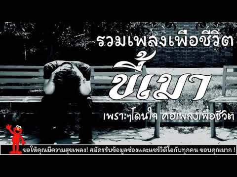 รวมเพลงเพื่อชีวิต..ขี้เมา เพราะๆไม่มีโฆษณา