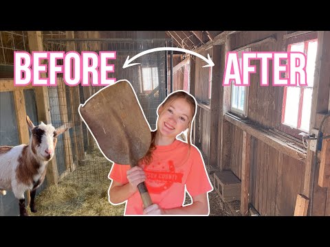 IT'S ALMOST KIDDING TIME! Deep cleaning the kidding barn!