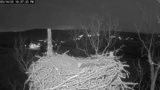 Live! From the NCTC Eagle Nest - Camera 2