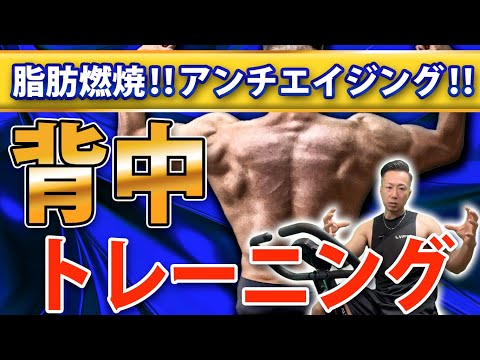 脂肪燃焼‼アンチエイジング‼ダンベル背中トレーニング6選‼激痩せ注意‼筋トレ初心者🔰ジム初心者🔰