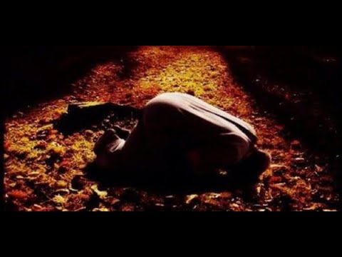 Abdulrahman Mossad || Surah As-Sajdah || English Translation