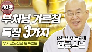 [특집] 인생 멘토 법륜스님이 알려주는 '부처님 가르침의 특징 3가지' 전 세계가 한국을 걱정하지 않도록 해야![ 2023년 부처님 오신날 봉축법문