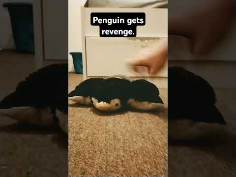 Penguin gets revenge.  #plushies #plush #shorts #penguin #fnaf