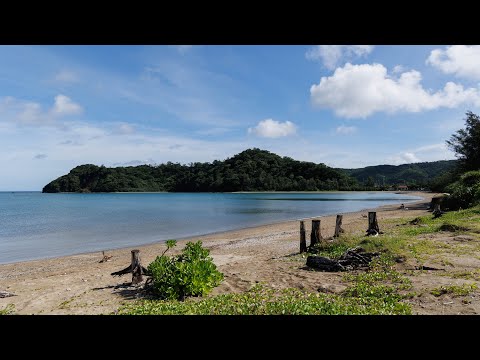 島さんぽ／道の駅おおぎみ／やんばるの森ビジターセンター／津波海岸／大宜味／国頭／沖縄の海／天然ビーチ／沖縄のあの店この店／島の風景「道の駅おおぎみと津波海岸」おっさんVLOG #47