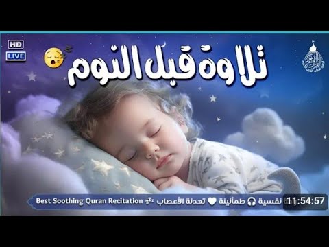 قران كريم بصوت جميل جدا قبل النوم 😌 راحة نفسية لا توصف 🎧 Quran Recitation