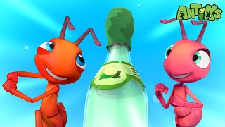 The Great Bottle Launch! | Antiks 🐜 | Funny Cartoons for Kids