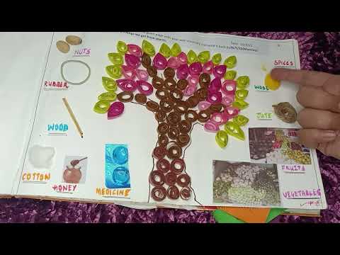 Things we get from Plants-school project