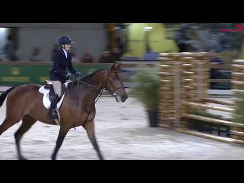 Hunter Jumper Equitation Carolien Herbers