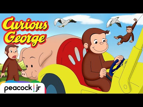 George's Best Moments on the Farm! 🤠🚜 | CURIOUS GEORGE