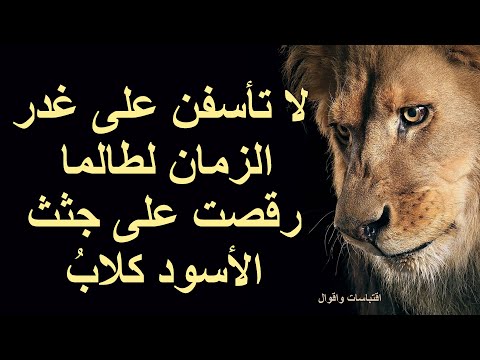 لا تأسفن على غدر الزمان | إلقاء وعزف خرافي | الشافعي