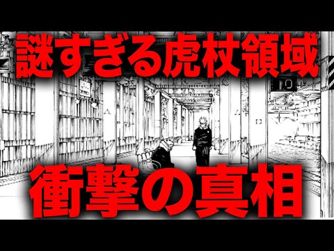 【呪術廻戦】謎すぎる虎杖領域を考察したところ衝撃の真相にたどり着いてしまう・・・【最新264話】【ネタバレ】