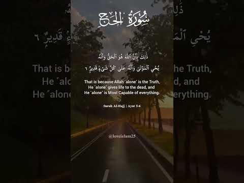 Surah Al-Hajj | Ayat Of The Day | Most Relaxing Surah #quran #arabic #love #reels #shorts #foryou