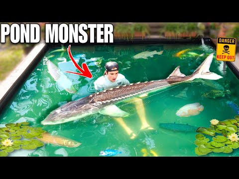 We FINALLY Caught EVERY POND MONSTER...