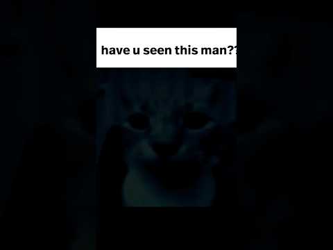 u have now seen him #memes #cat #funny #nostalgia