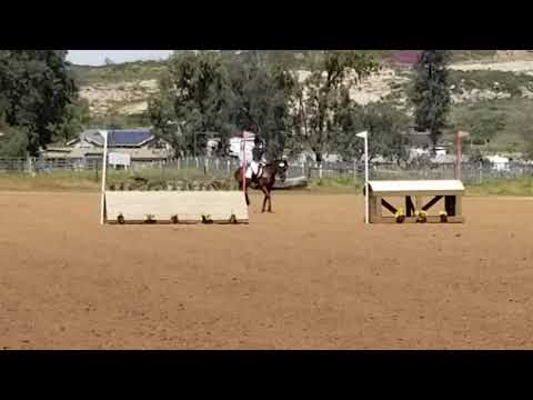 Irish Jumping Warmup