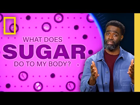 Why Do Our Mouths Water at the Sight of Donuts? | What Does Sugar Do To My Body | Nat Geo