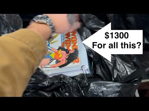 I spent $1300 on this Truck load of Collectibles! what will I find?!?