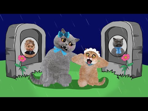 Poor Baby Cat Life : Daddy, Mommy,  I miss you..!! Sad Story Animation Cat Story Animation