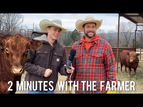 How To Choose The BEST BULL For Your Cows | 2 Minutes With The Farmer