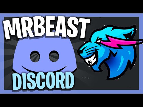 MrBeast Official Discord Server (700K MEMBERS)