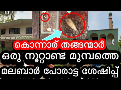 മലബാർ പോരാട്ടത്തിലെ ചരിത്ര ശേഷിപ്പ് / കൊന്നാർ തങ്ങന്മാർ / Jamsheerali Neerad