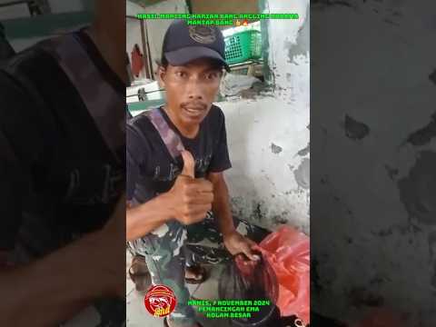 INI DIA HASIL MANCING BANG ANGLING DHARMA DI PEMANCINGAN EMA