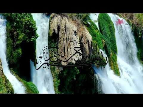 معنى العبادة من كتاب الله حصرا | وَاعْبُدُوا اللَّهَ وَلَا تُشْرِكُوا بِهِ شَيْئًا