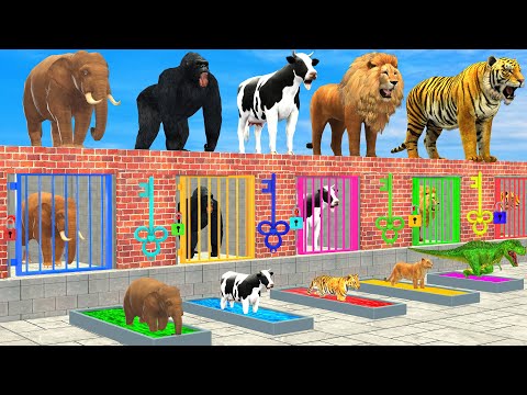 Cow Elephant Lion Gorilla Tiger T-Rex Choose The Right Baby ESCAPE ROOM CHALLENGE Animals Cage Game