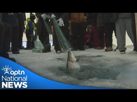 Fishing for Wellness: Reeling in tradition and healing | APTN News