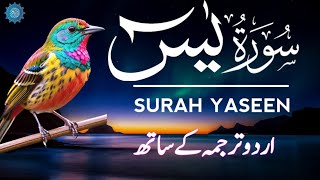 Surah Yaseen | Surah Yaseen With Urdu Translation | Episode - 4