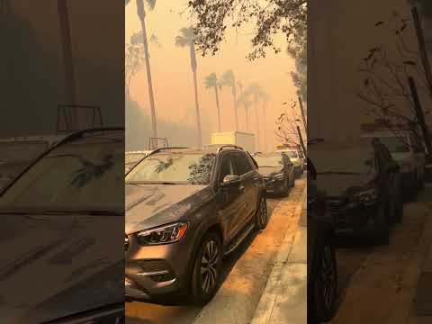 🕊️Praying for California💔 #california #losangeles #foryou #fyp #wildfire#fy #fortoupage #explore