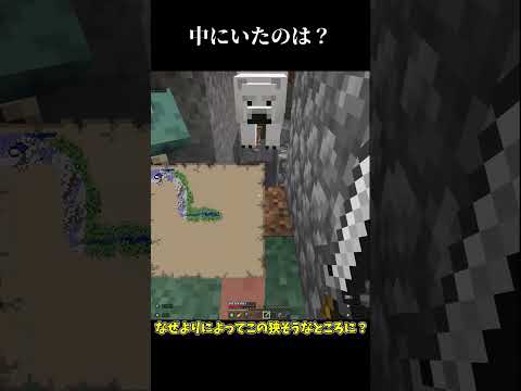 丸石の中にいたのは...?【マイクラ】 #shorts