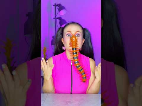 Learn Colors Magic Squish #katebrush #shorts #learncolors #viral