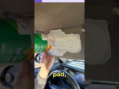 Car Hack Everyone Needs to Know—Pine-Sol Secret Trick! #shorts