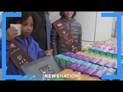 Girl Scouts sued over alleged heavy metals, pesticides in cookies | Morning in America