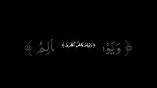 #أهل_القرآن #حالات_واتس #ستوريات #قرآن #تلاوة_خاشعة #بدون_حقوق #ارح_قلبك #كرومات_قرآنيه_شاشه_سوداء