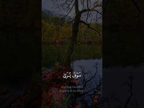 وأن ليس للإنسان إلا مـاسعى - #عبدالله_الموسى #سورة_النجم