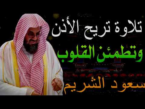 تلاوة نادرة تفوق الوصف سورة يوسف مريم القصص وسورة ق تلاة خاشعة saud shuraim