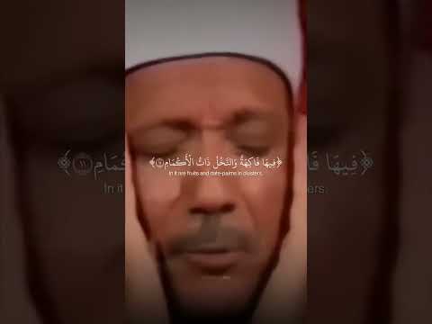 بكاء الشيخ عبد الباسط عبد الصمد ✦ مقطع فيديو من أروع ما سمعت فى حياتي