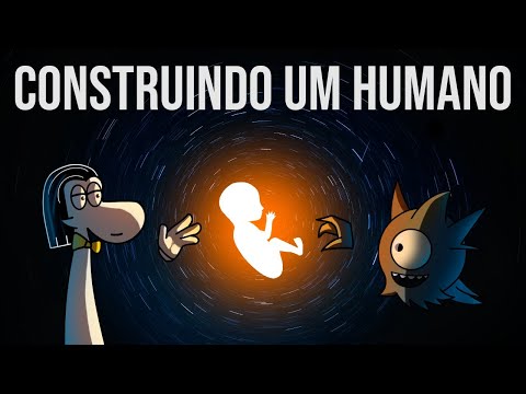 A ORIGEM dos Seres Humanos | Metafísicos 2