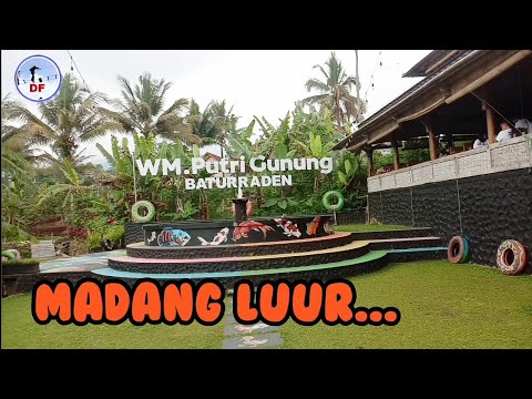 Rumah Makan Putri Gunung Baturraden Purwokerto Banyumas, Sejuk dan Menunya Enak 👍