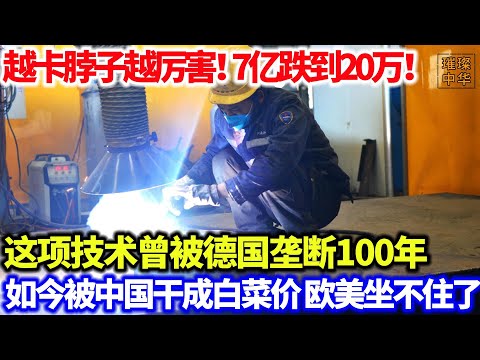 越卡脖子越厉害！7亿跌到20万！这项技术曾被德国垄断100年，如今被中国干成白菜价，欧美坐不住了。#中国制造 #零件 #科技