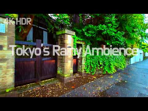 [4K/HDR] Rainy Day Walk Through Tokyo’s Nature-Filled Neighborhood | Relaxing Natural City Ambience