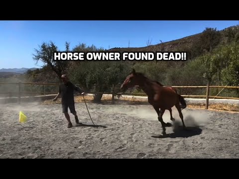 Horse owner dies in round pen! Found 24 hours later!!