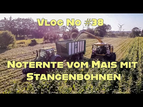 Farm-Vlog #38 Noternte mit Hindernissen und Begleitung