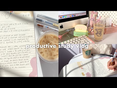 6am study vlog 🥯 waking up early, studying, cleaning my room, lots of coffee and hauls