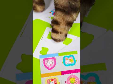 Purr-fectly Crafted Stickers! Kitty Unboxes a 3D Sticker Maker – ASMR Heaven 😻🎉 #Gadget #ASMR