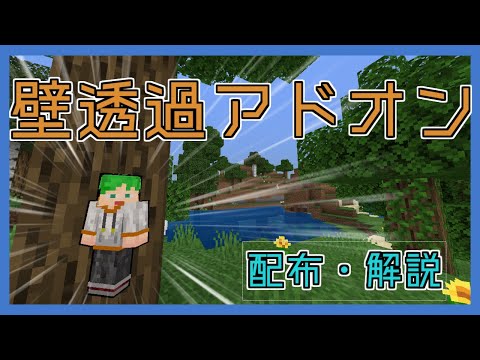 【マイクラ統合版アドオン】壁透過アドオン！java版の発光をBEで!?　配布あり