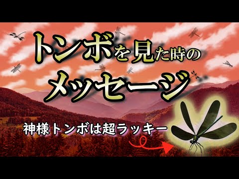 【サイン】細くて黒いトンボを見かけたことはありませんか？｜幸運に導く虫【神様トンボ】